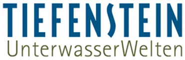 Tiefenstein UnterwasserWelten